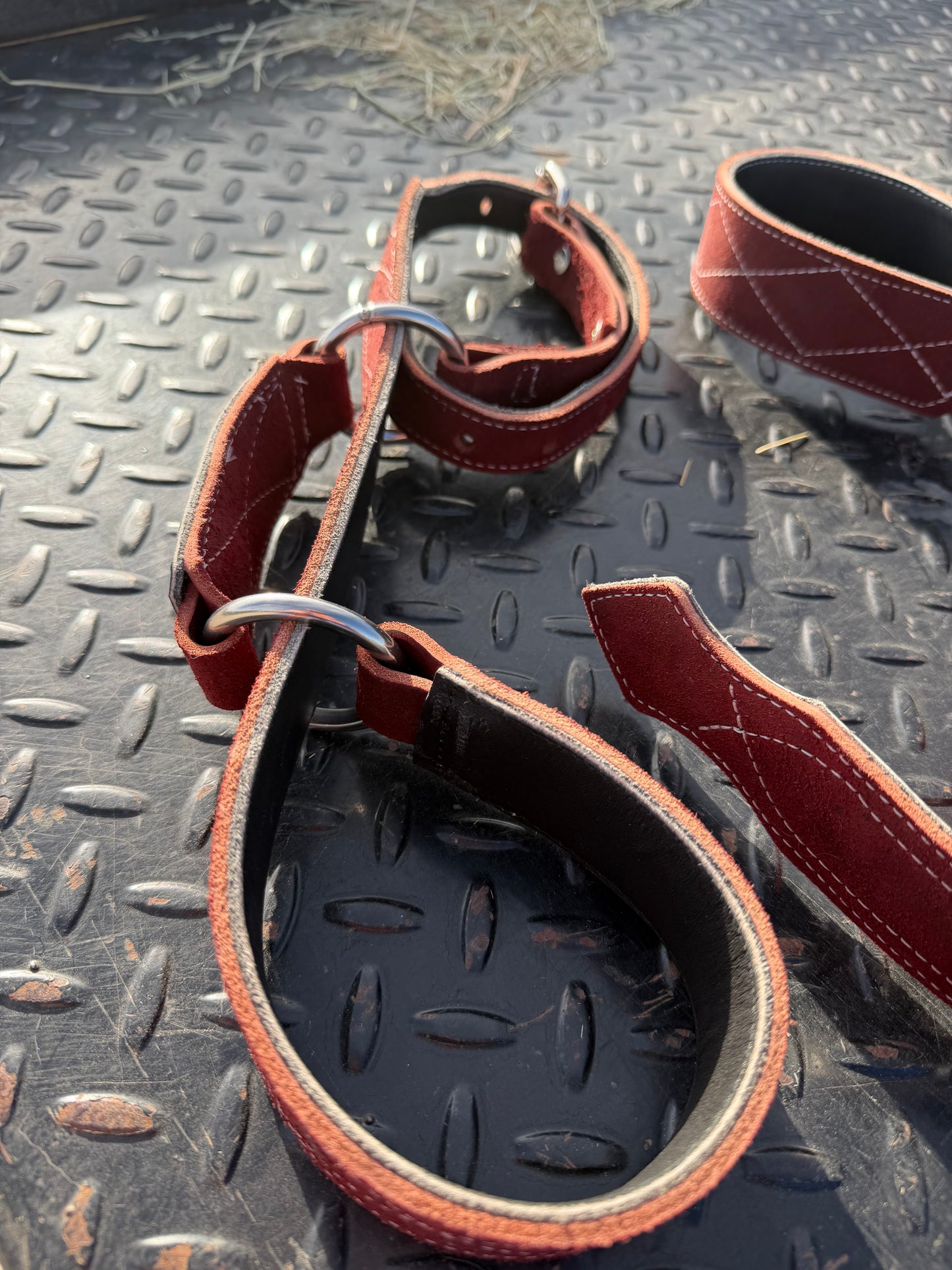 Hobble belt