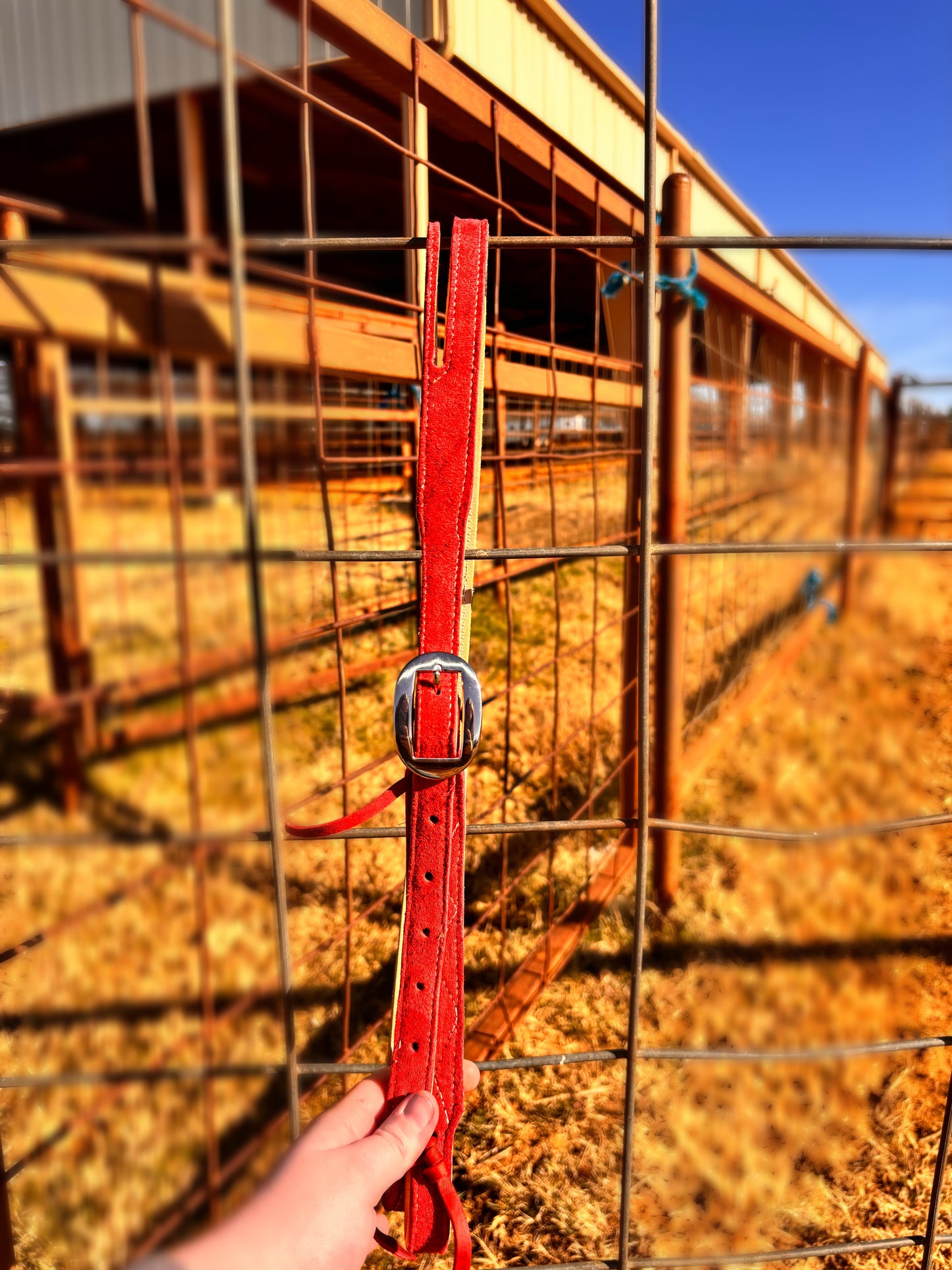 Suede headstall